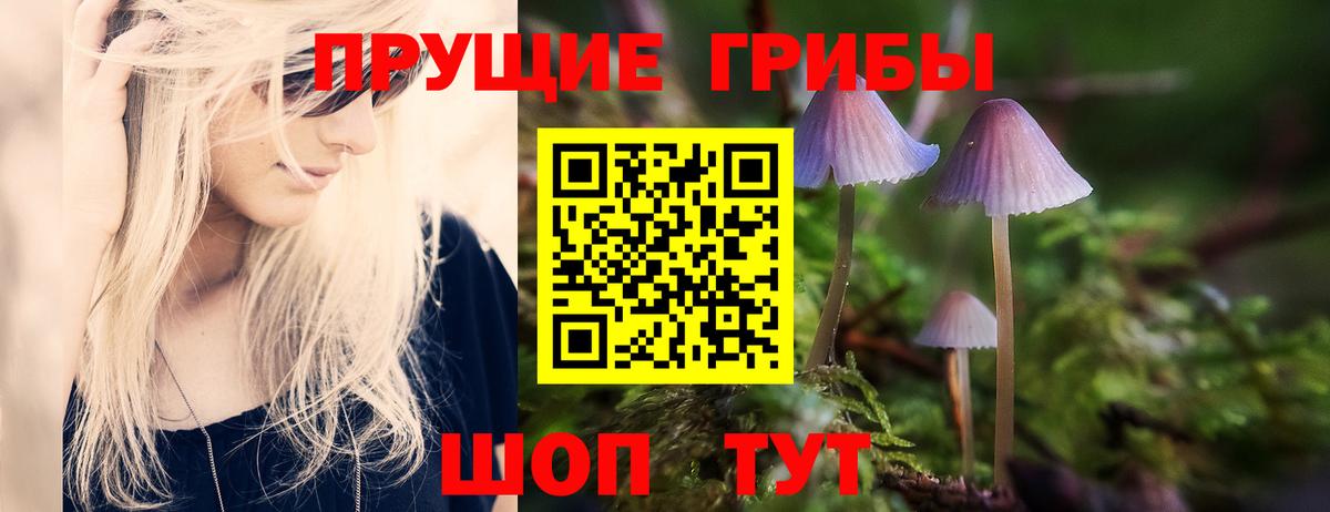 Галлюциногенные грибы Cubensis Белово