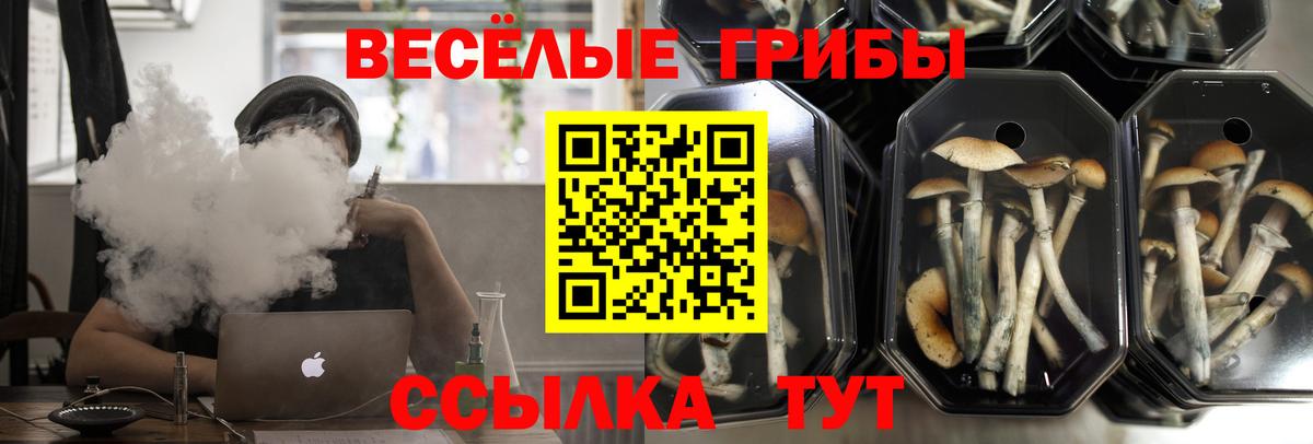 Псилоцибиновые грибы ЛСД  Вход с VPN  Белово 